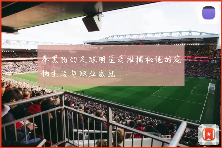 养黑狗的足球明星是谁揭秘他的宠物生活与职业成就