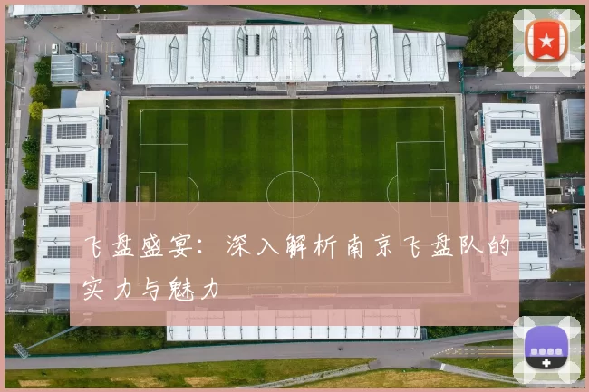 飞盘盛宴：深入解析南京飞盘队的实力与魅力