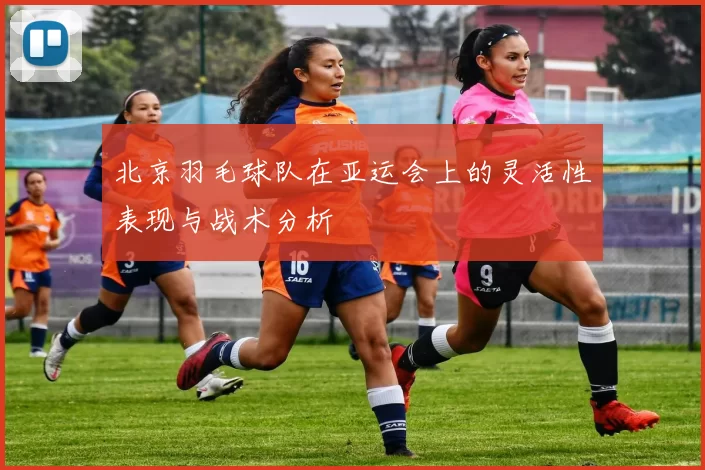 北京羽毛球队在亚运会上的灵活性表现与战术分析