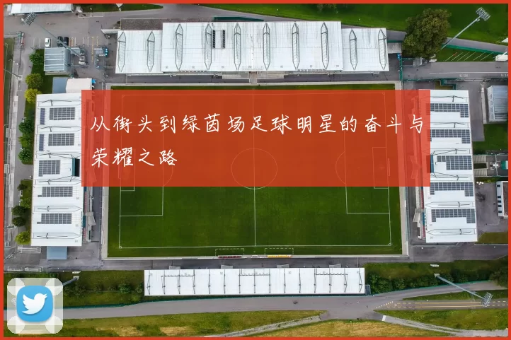 从街头到绿茵场足球明星的奋斗与荣耀之路
