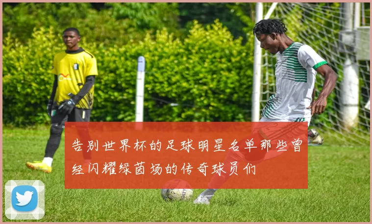 告别世界杯的足球明星名单那些曾经闪耀绿茵场的传奇球员们