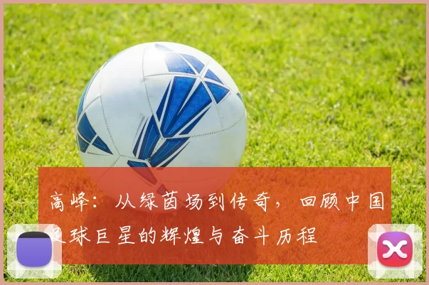 高峰：从绿茵场到传奇，回顾中国足球巨星的辉煌与奋斗历程