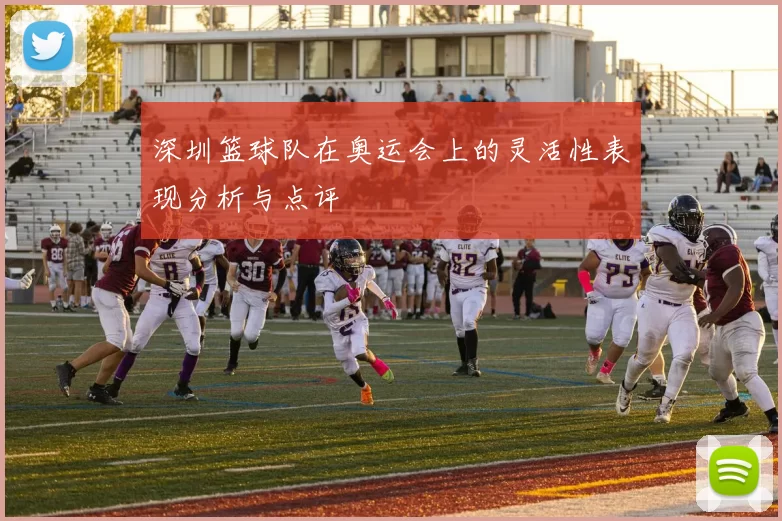 深圳篮球队在奥运会上的灵活性表现分析与点评