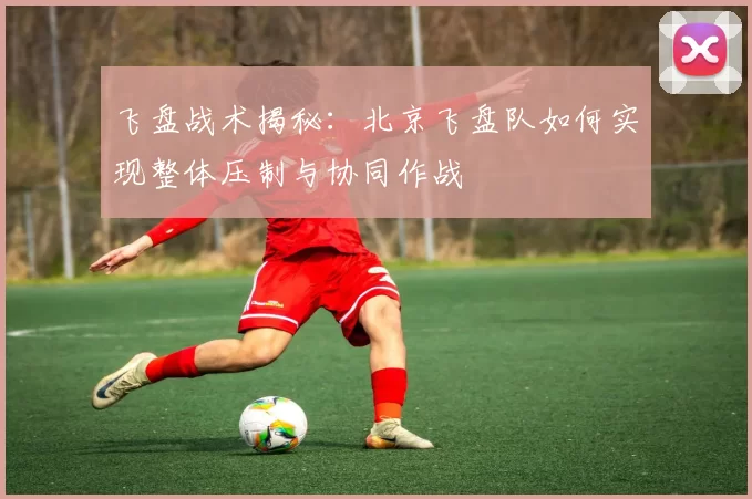 飞盘战术揭秘：北京飞盘队如何实现整体压制与协同作战