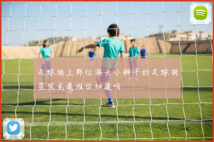 足球场上那位满头小辫子的足球明星究竟是谁你知道吗