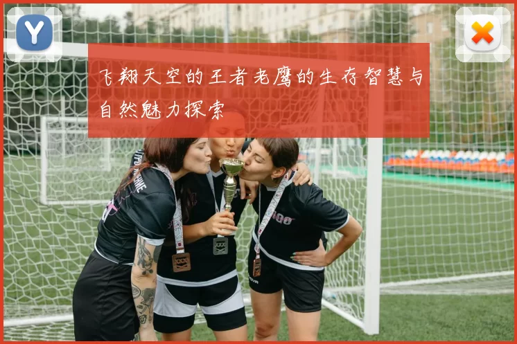 飞翔天空的王者老鹰的生存智慧与自然魅力探索