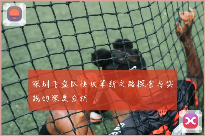 深圳飞盘队快攻革新之路探索与实践的深度分析